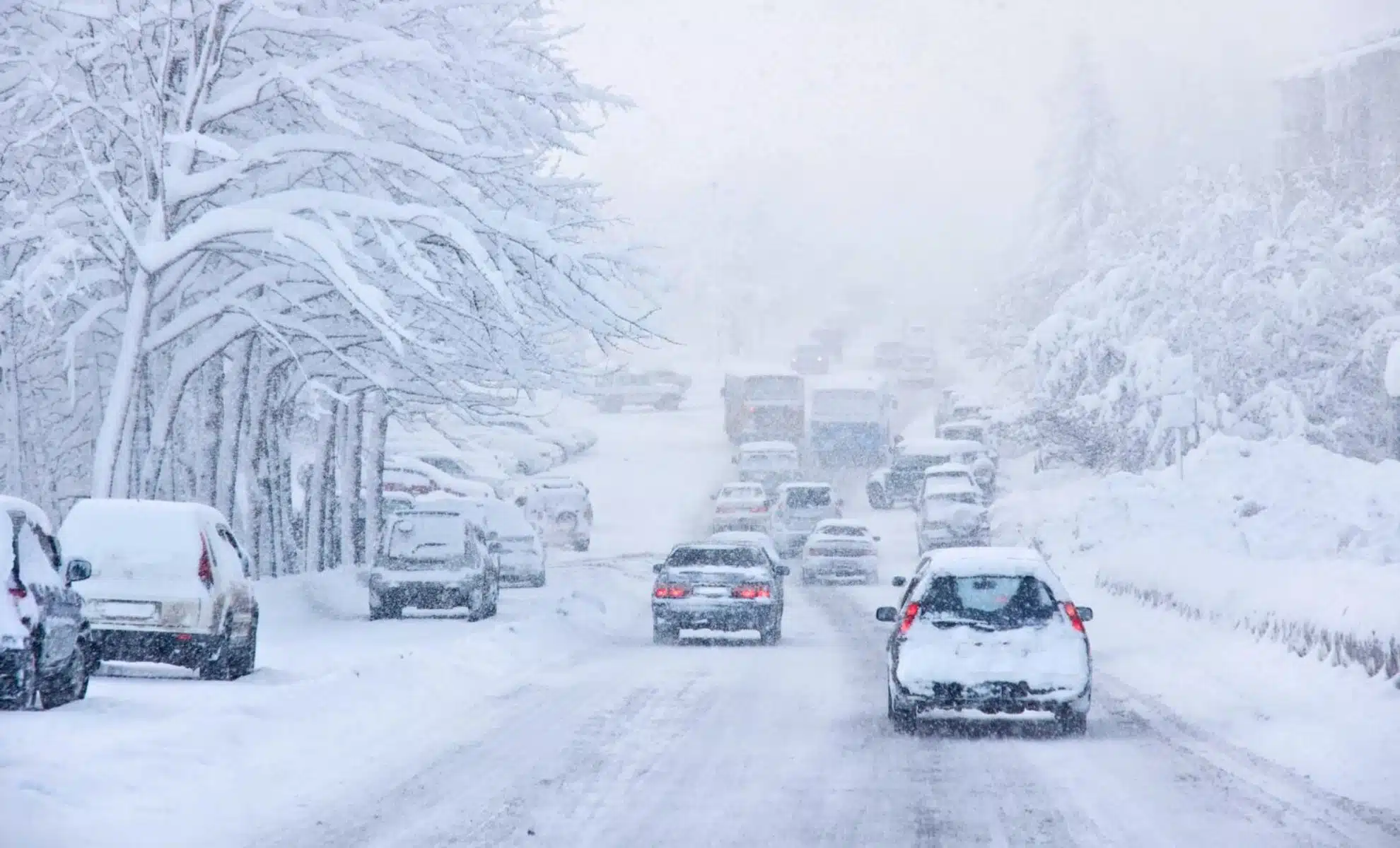 Snowstorm Warning for Thanksgiving Week: Key States Could See Major Travel Delays